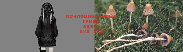 мяу мяу кристалл Лихославль