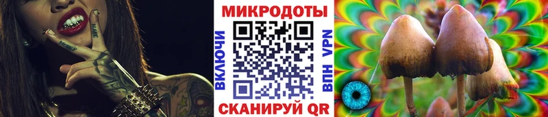 наркотики  Людиново  Псилоцибиновые грибы мицелий 