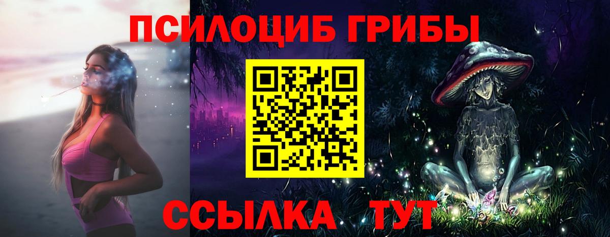 Галлюциногенные грибы Psilocybe Людиново