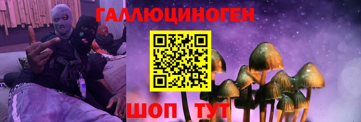 Людиново  где купить наркотик  Вход с VPN  Галлюциногенные грибы Psilocybine cubensis 